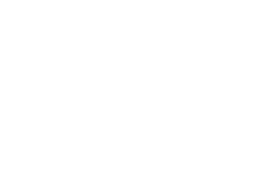 Center for AI Research